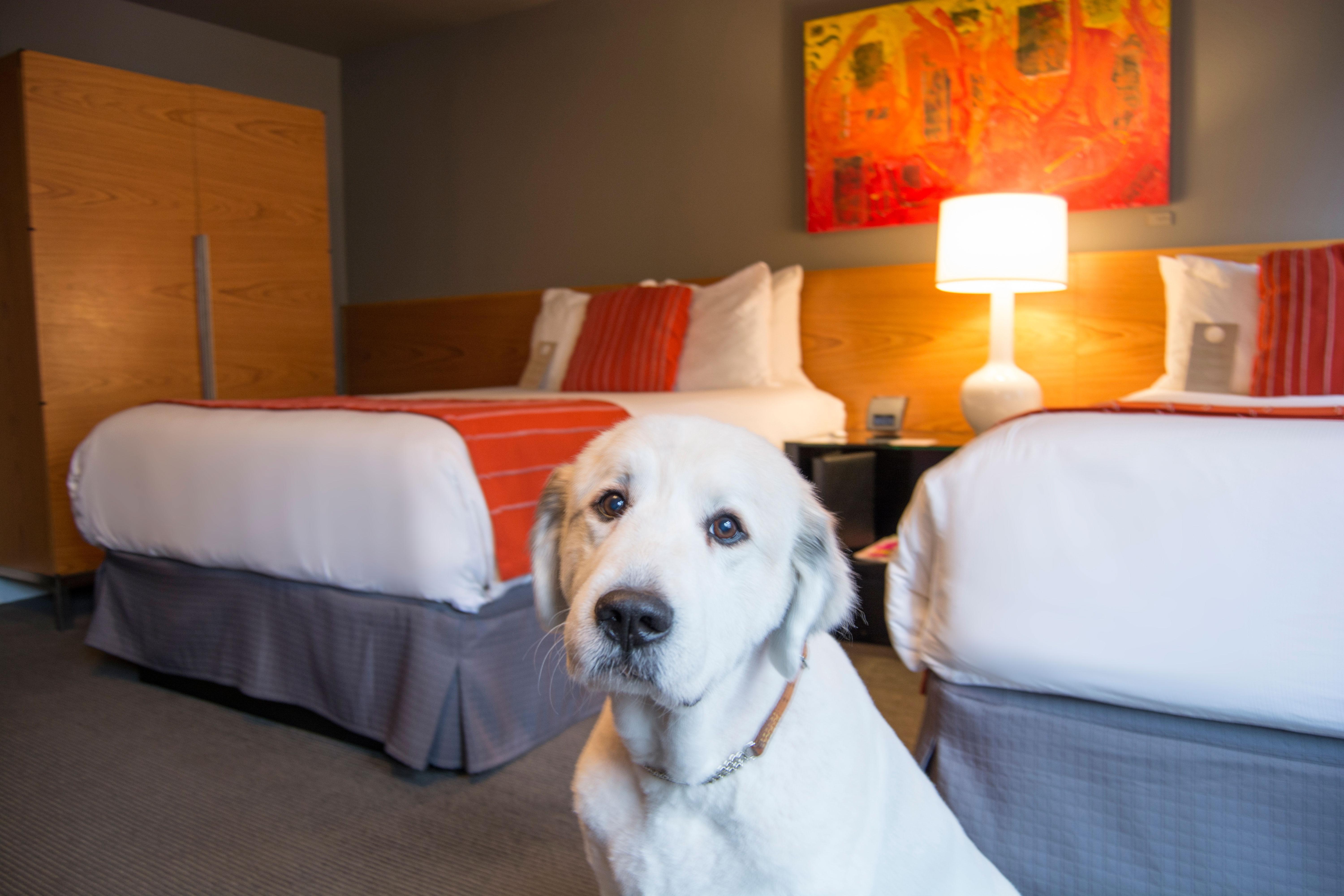 Hotel Max